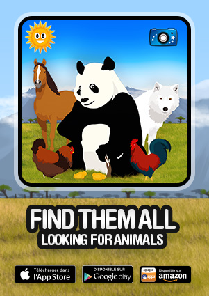 Find them all - Looking for animals